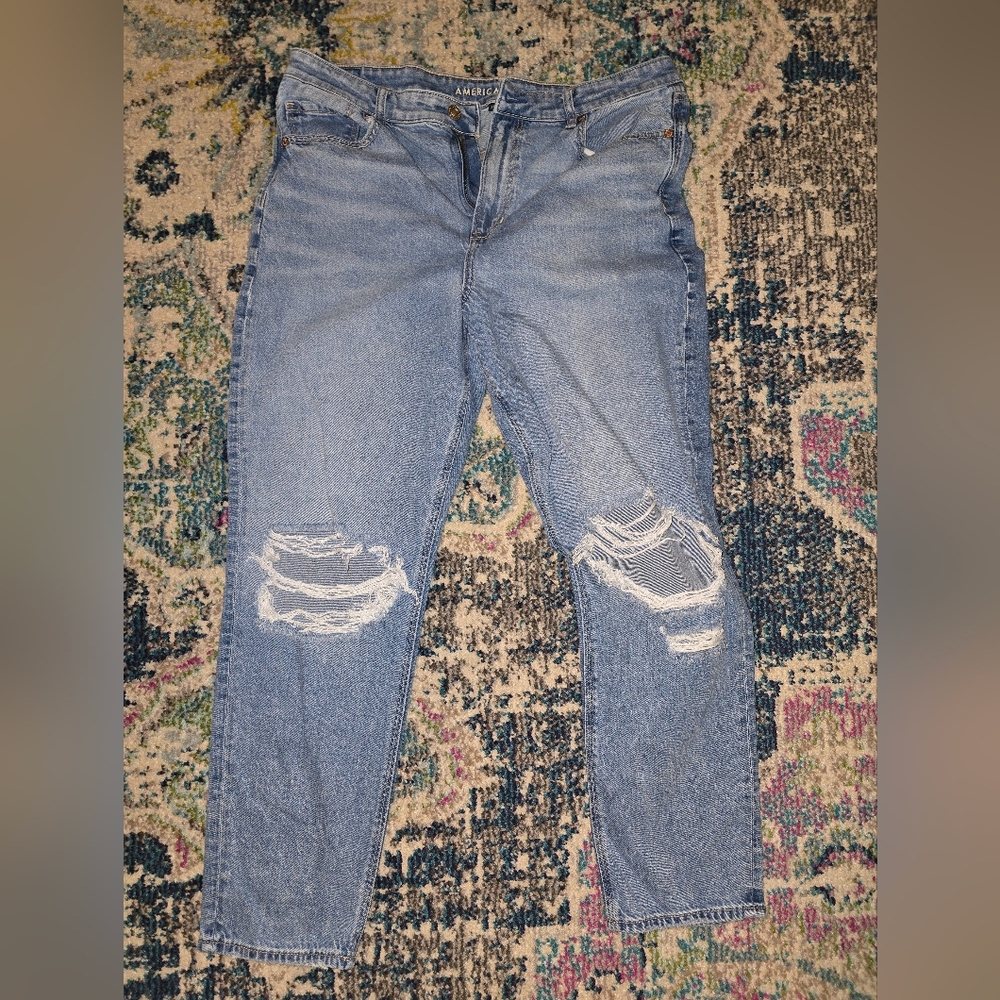 American Eagle Strigid Mom Jeans 14